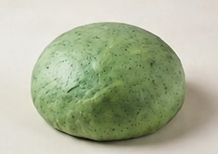 Alga Spirulina